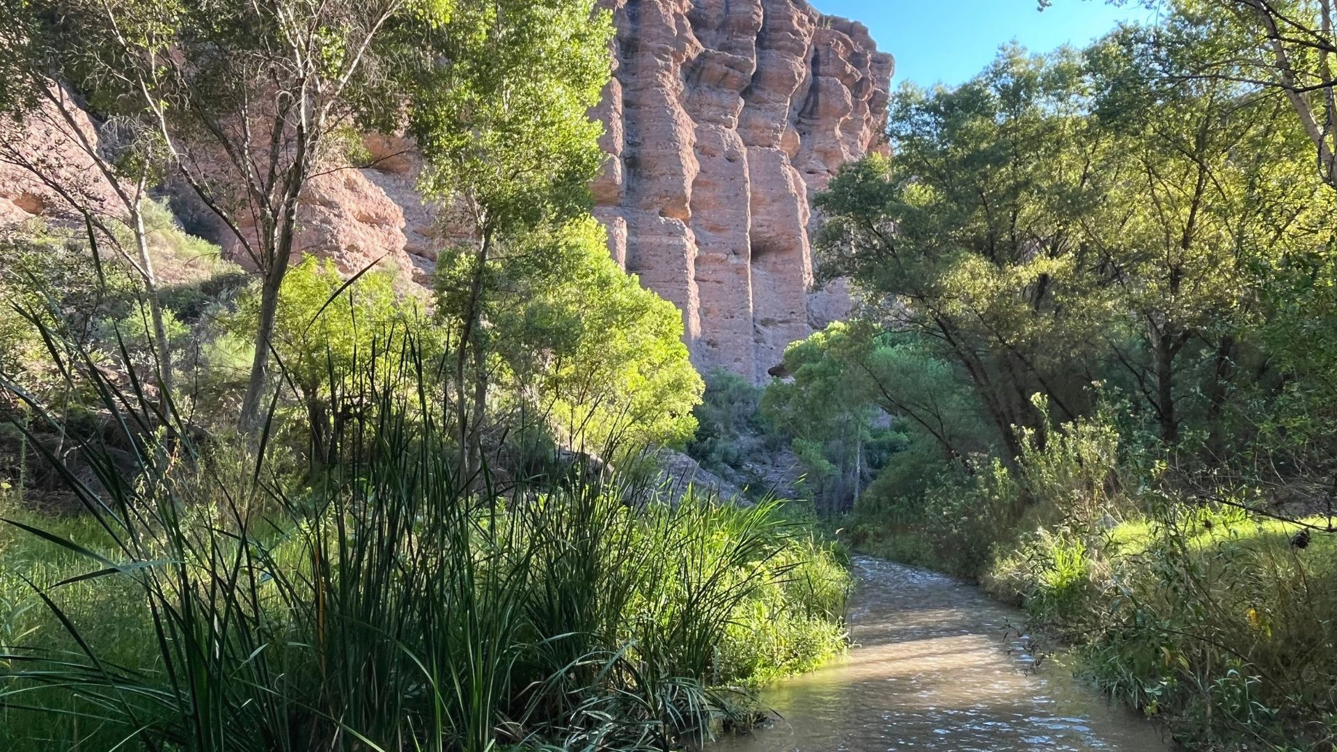 A creek runs through lush greenery and rock formations