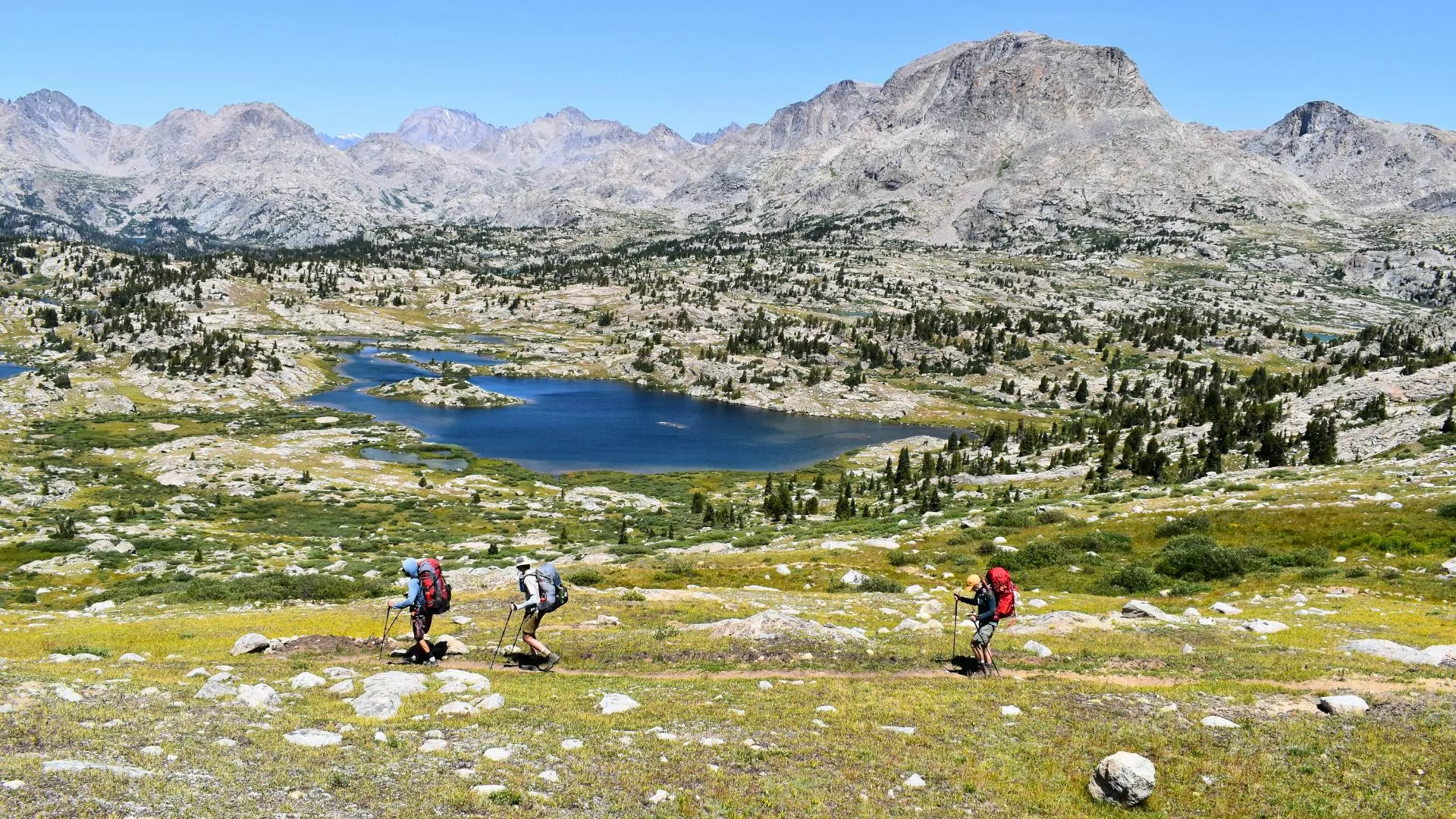 A group of people wearing backpacks hike though the wind river mountains
