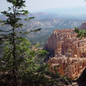 bryce canyon, spire shaped rock, hoodoos, rim trail hiking, view point