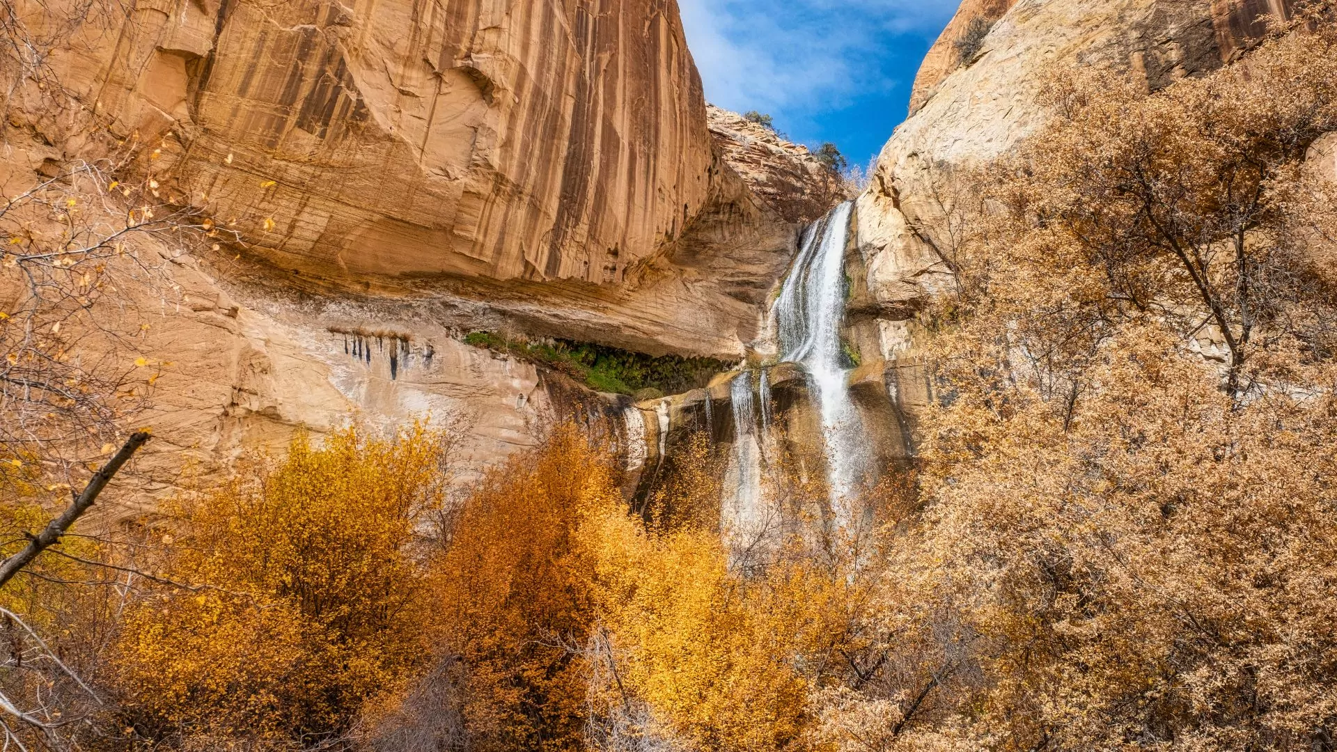 Lower calf creek falls near escalante utah