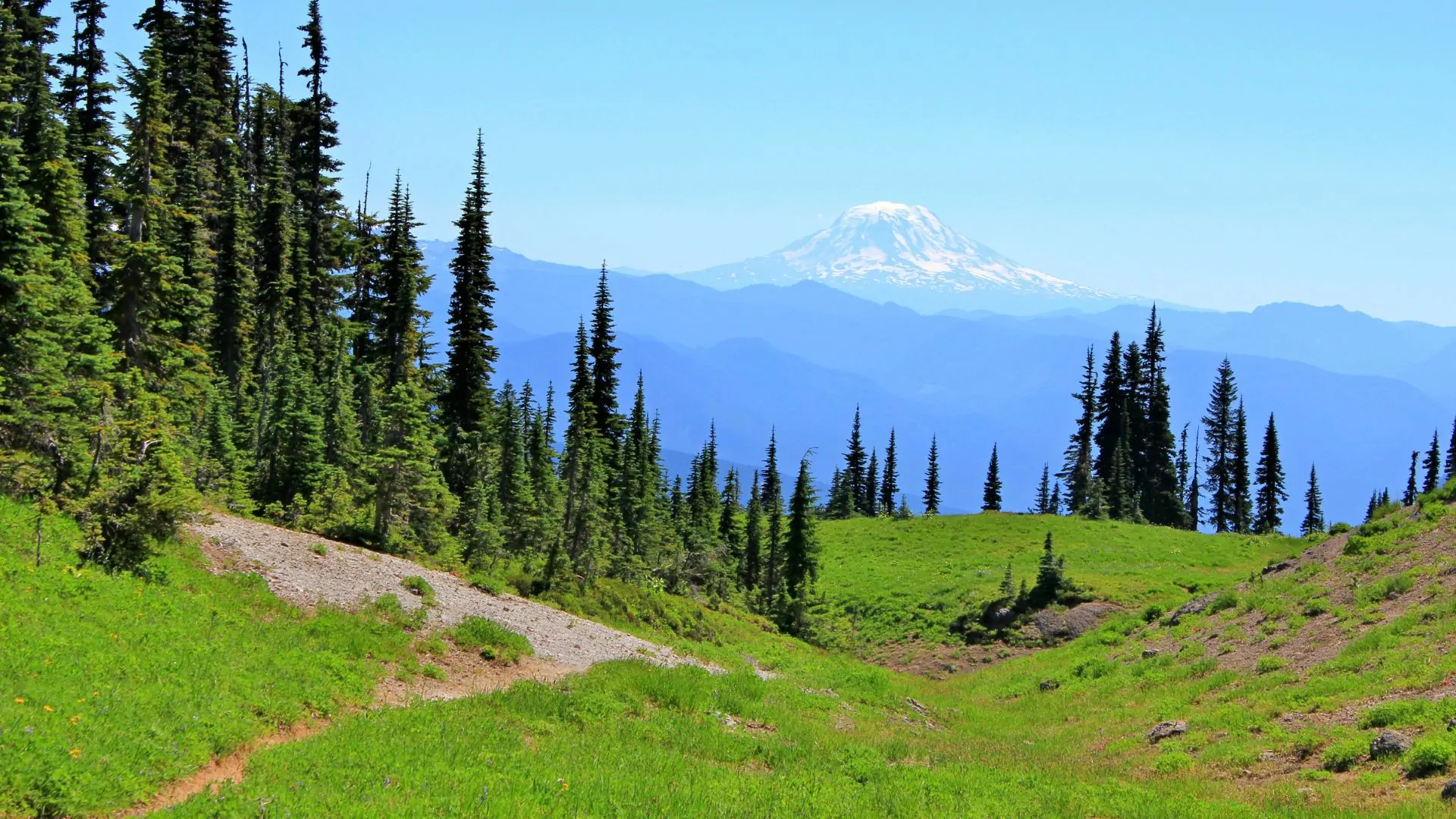 Mount Rainier peeks out of the haze beyond a sunny green meadow with a trail running through it