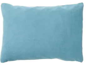 best camp pillow REI campwell