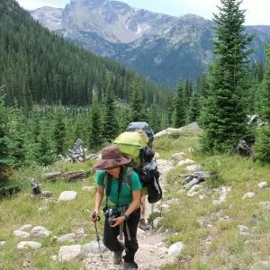 A hiker almost blends in with their surroundings in the various hues of green in Rocky Mountain National Park